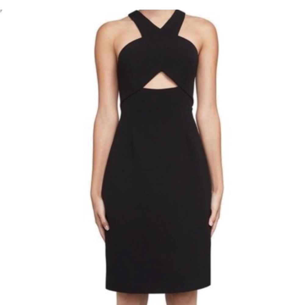 BCBG MaxAzria Carly Dress